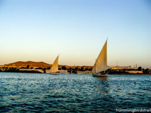 Elephantine islands beyond the urban growth