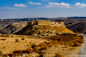 Krak de Montreal: Al Shoubak castle