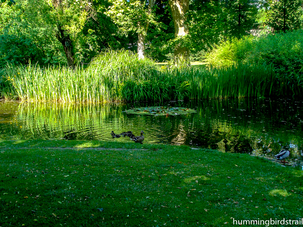 Inside Hofgarten 