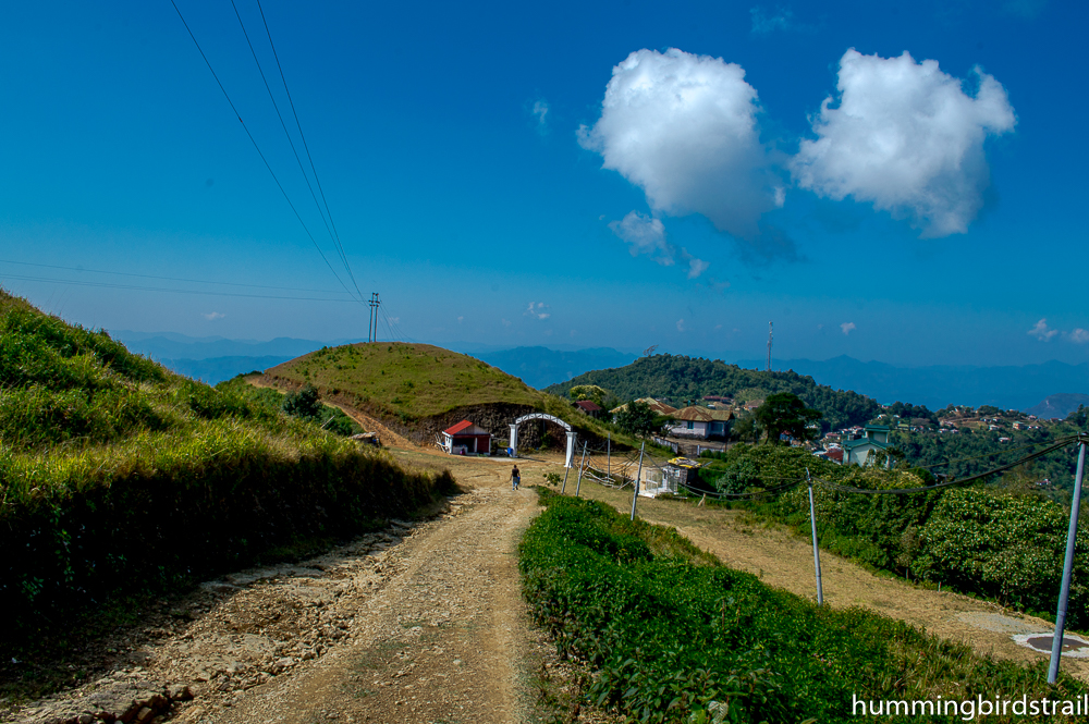 Trekking to the top