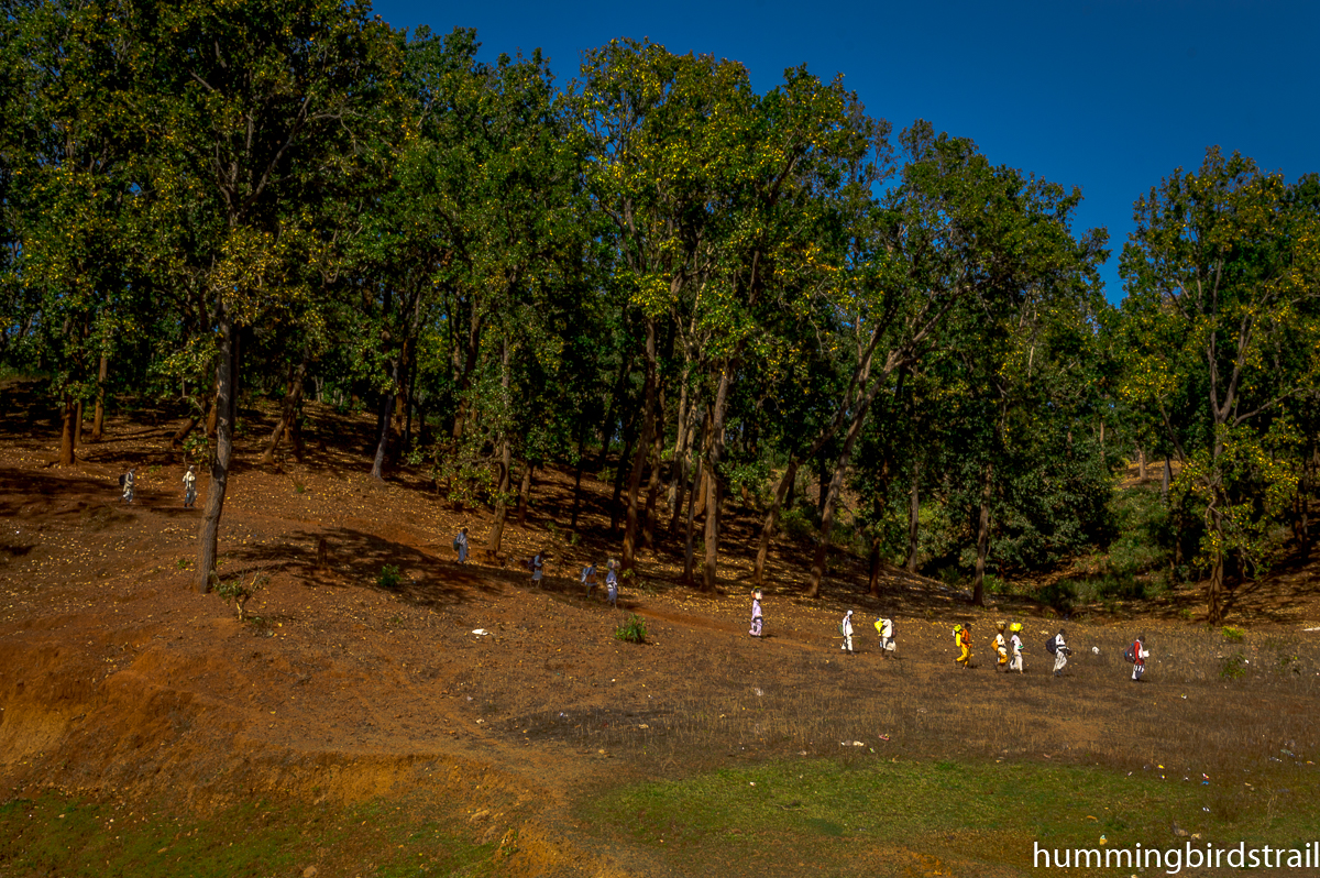 Group of hermits on the hills