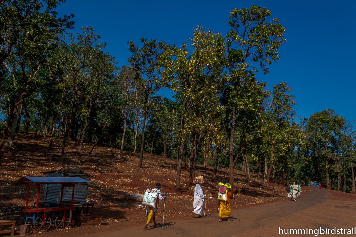 procession to Amarkantak for Pilgrimage