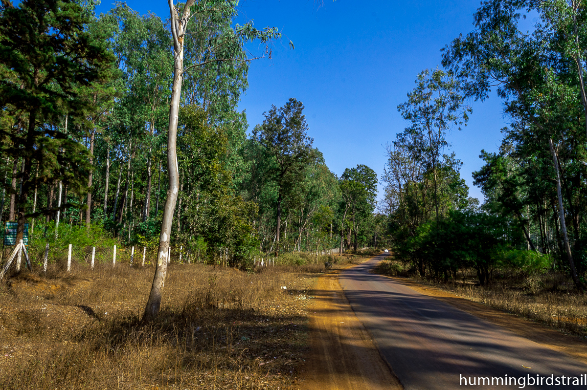 Beautiful roads of Amarkantak