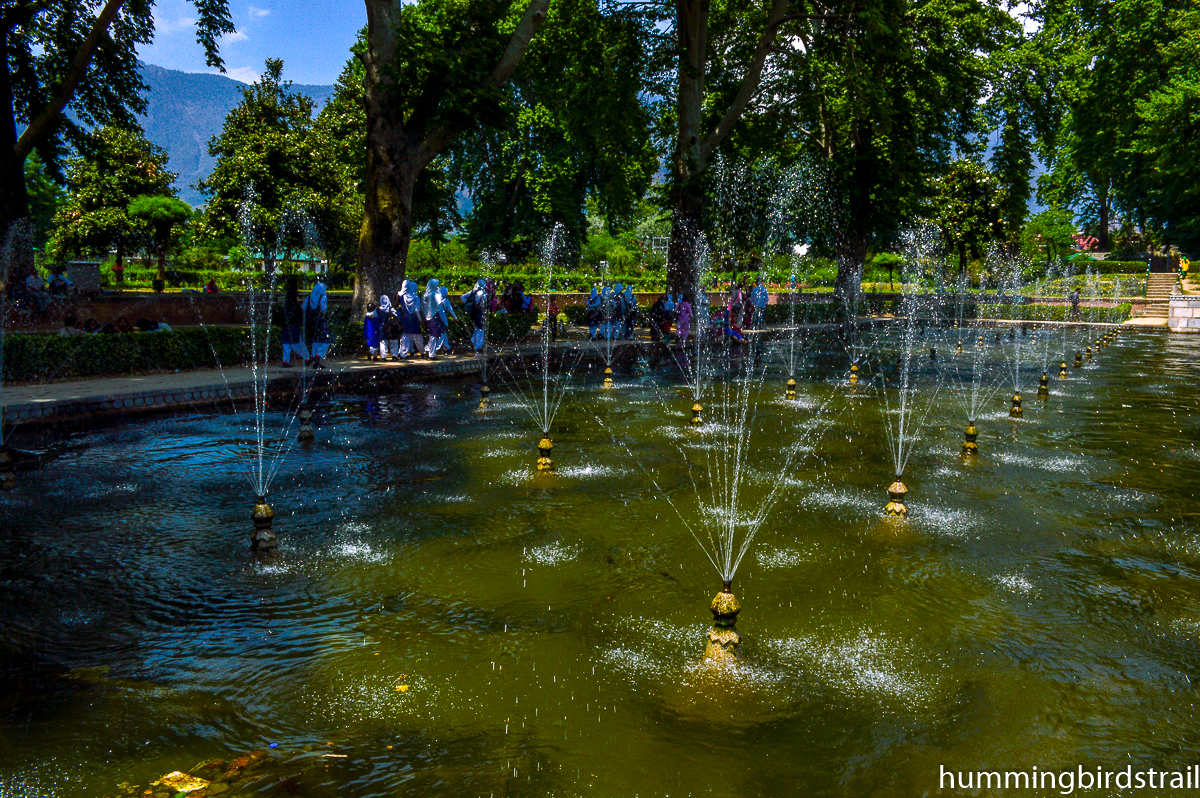 Fountains of Shalimar Bagh