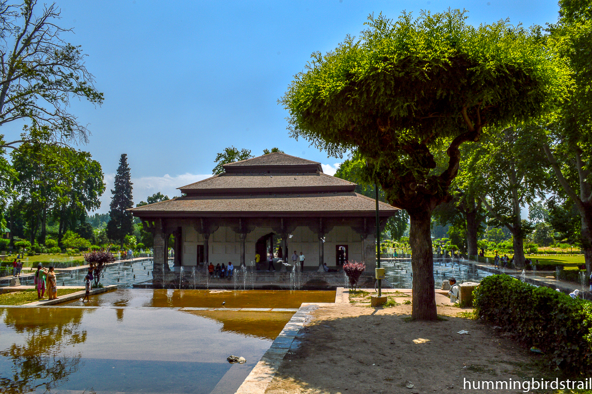 Islamic Architecture of Shalimar Bagh and famous Chinar Tree of Kashmir