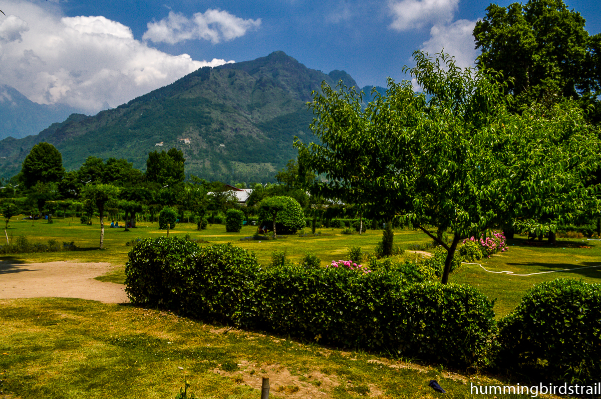 Beautiful Shalimar Bagh