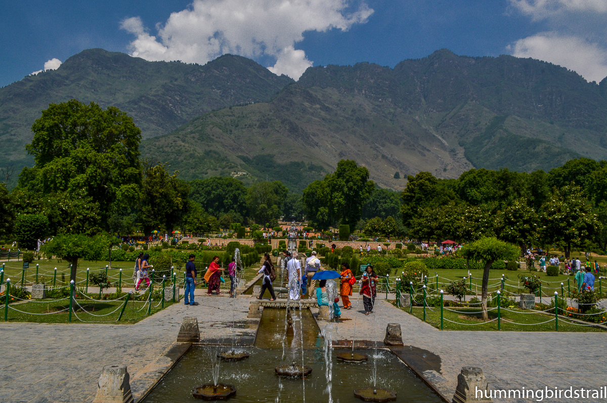 Zabarwan Ranges from Nishat Bagh