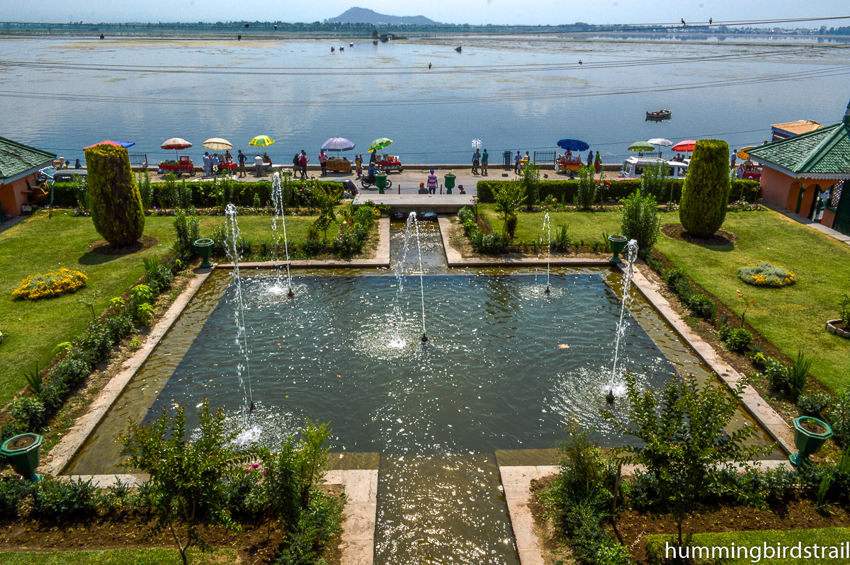 View of Dal Lake from Nishat Bagh