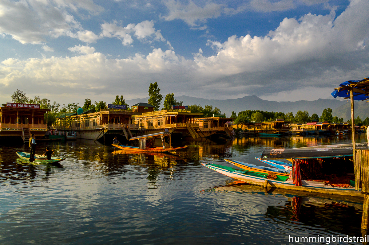 Busy Dal Lake