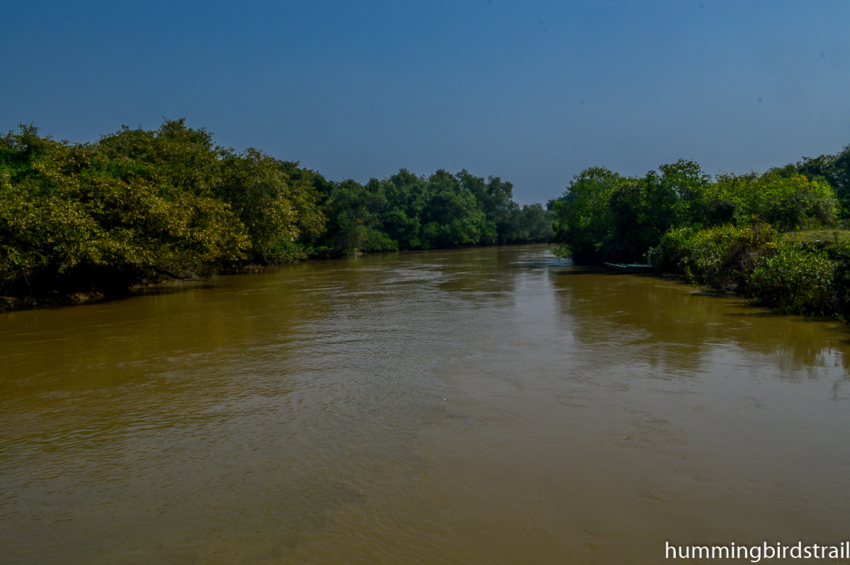 Into the wild, Bhitarkanika