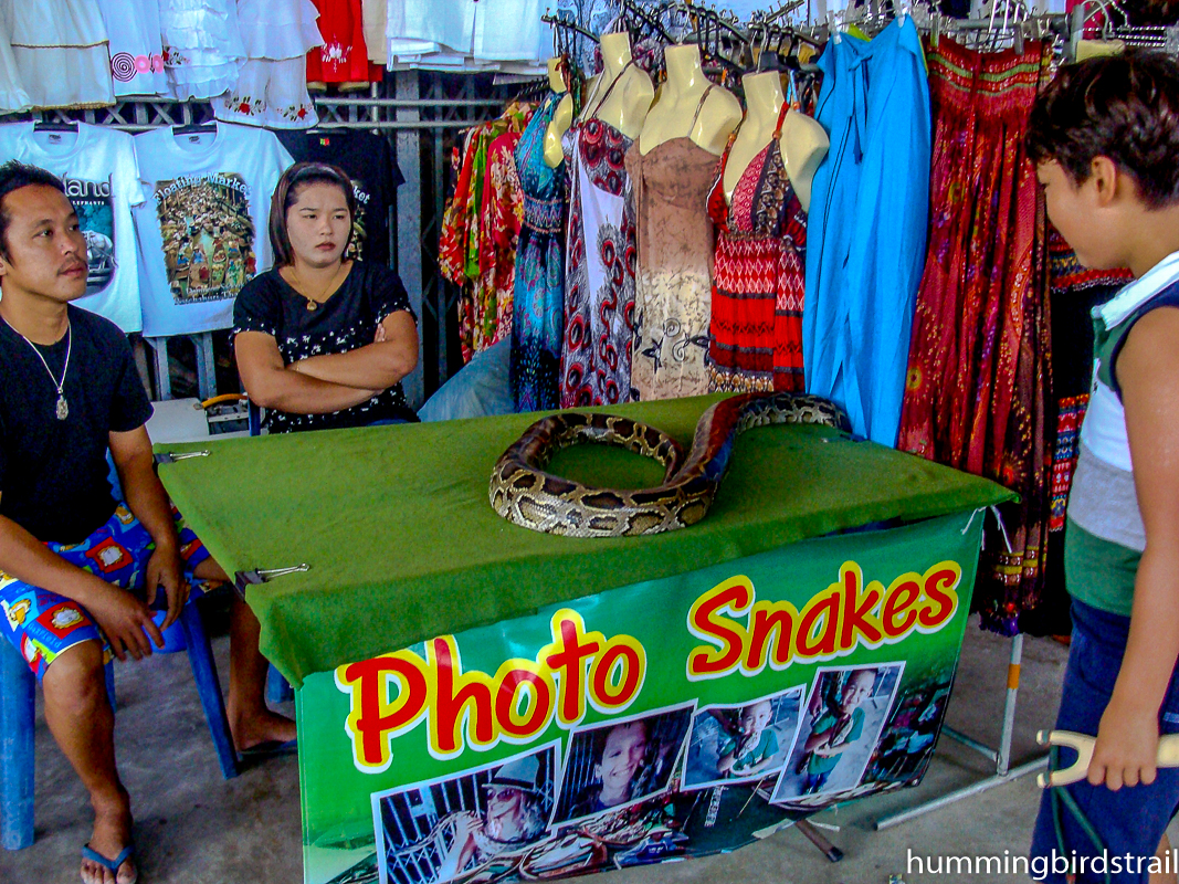 Photo Snake
