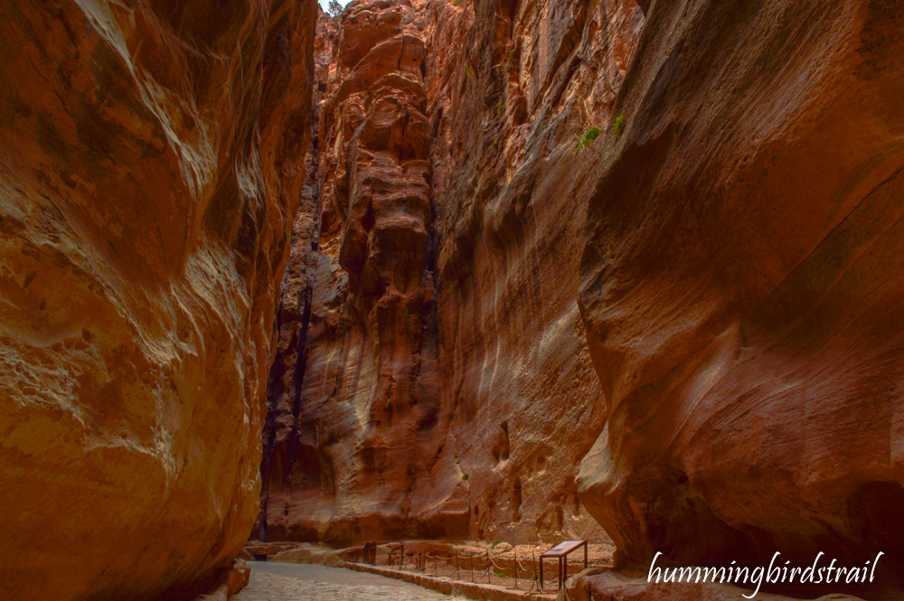 the Siq of Petra, the city of Red Roses 