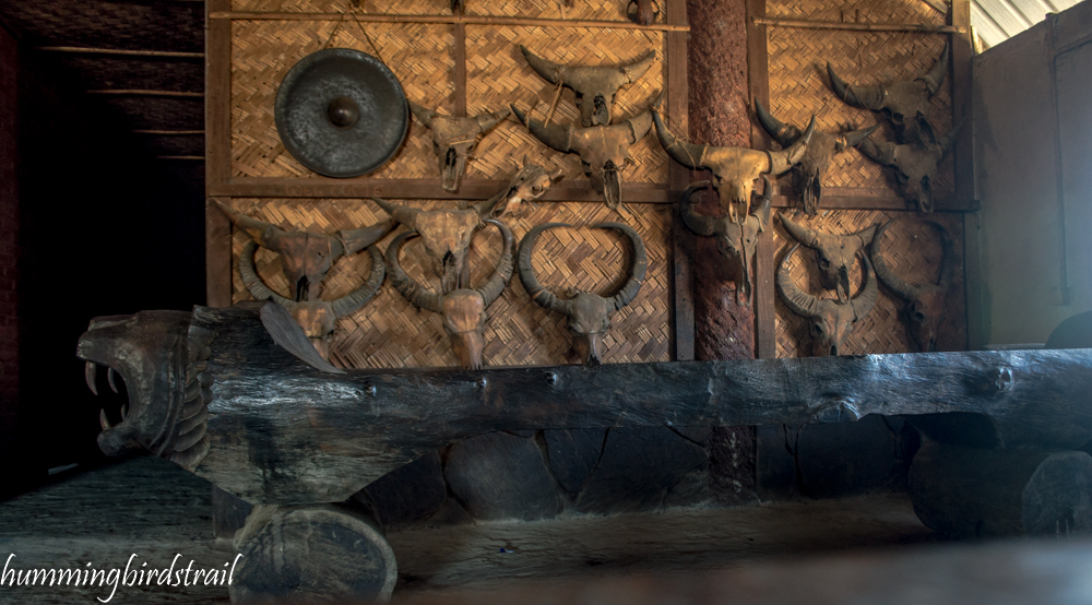 A log drum inside with skulls of sacrificed buffelos which were sacrificed after returning from Head Hunting