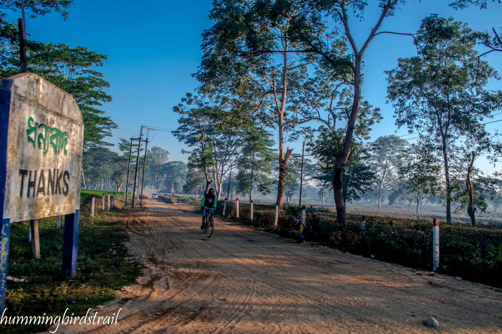 On the way to Mon through the tea estate of Assam