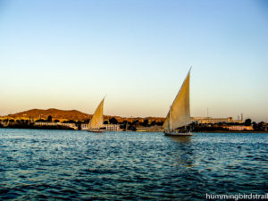 Felucca: Traditional wind driven sailboat
