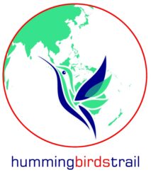 Hummingbird's Trail